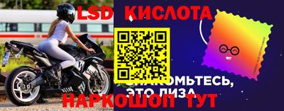 дурь Гатчина