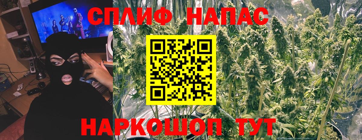 МАРИХУАНА MAZAR  Бошки Шишки план  МАРИХУАНА план  МАРИХУАНА гибрид  Вход с VPN  Волгодонск 